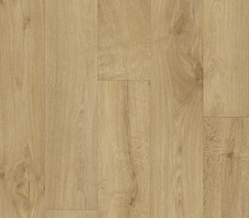 Elast 40 Project 296